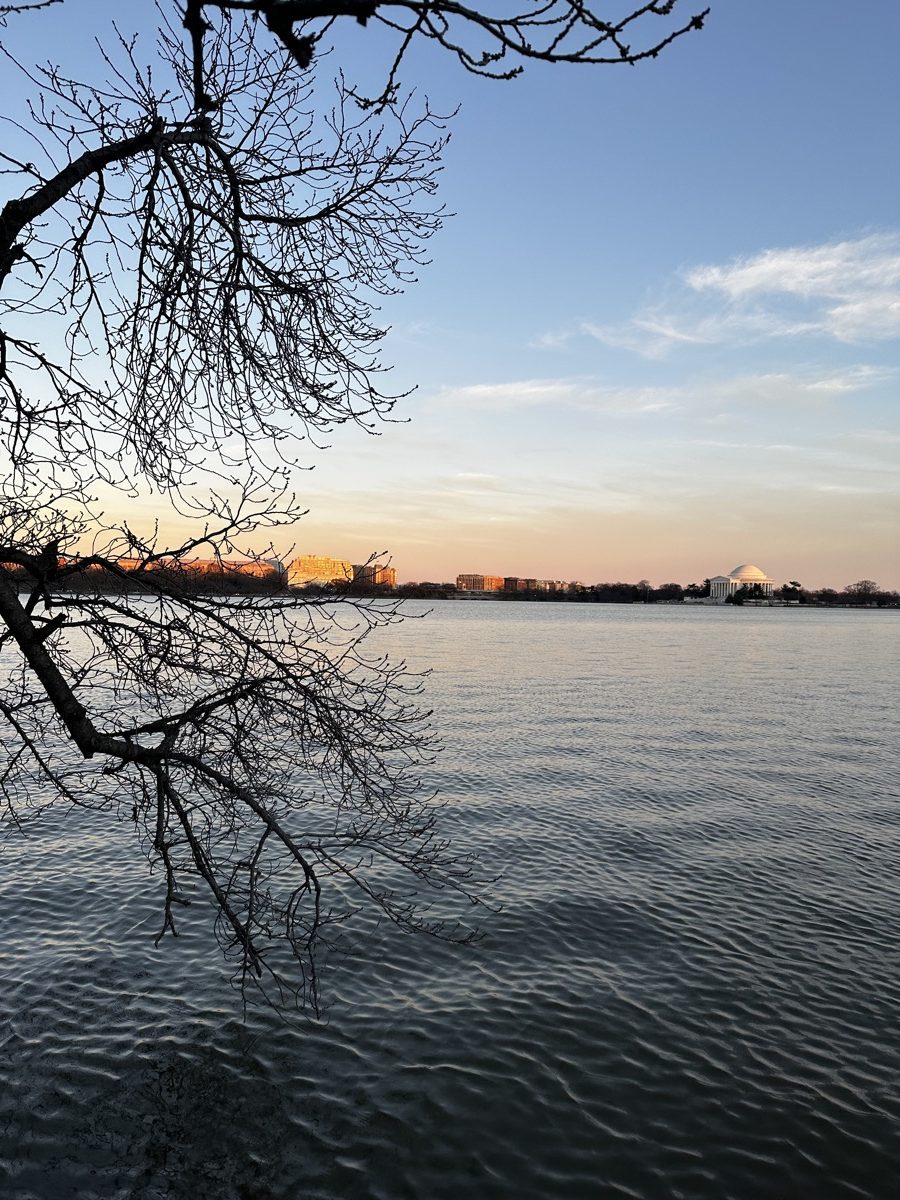 Tidal Basin at sunset with Jefferson Memorial in the distance, Washington D.C.