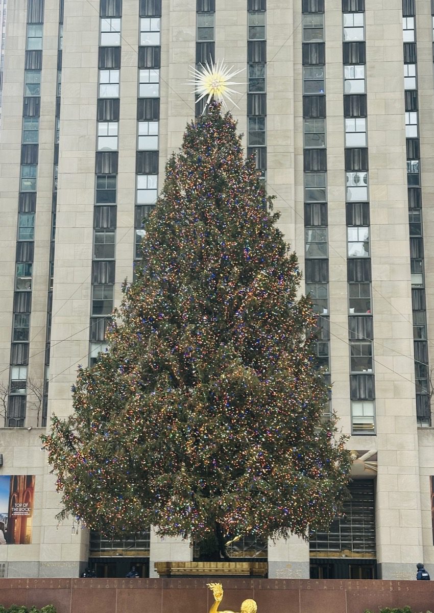 Rockefeller Center Christmas tree, New York